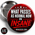 WHAT PASSES AS NORMAL NOW IS INSANE PIN-BACK BUTTON