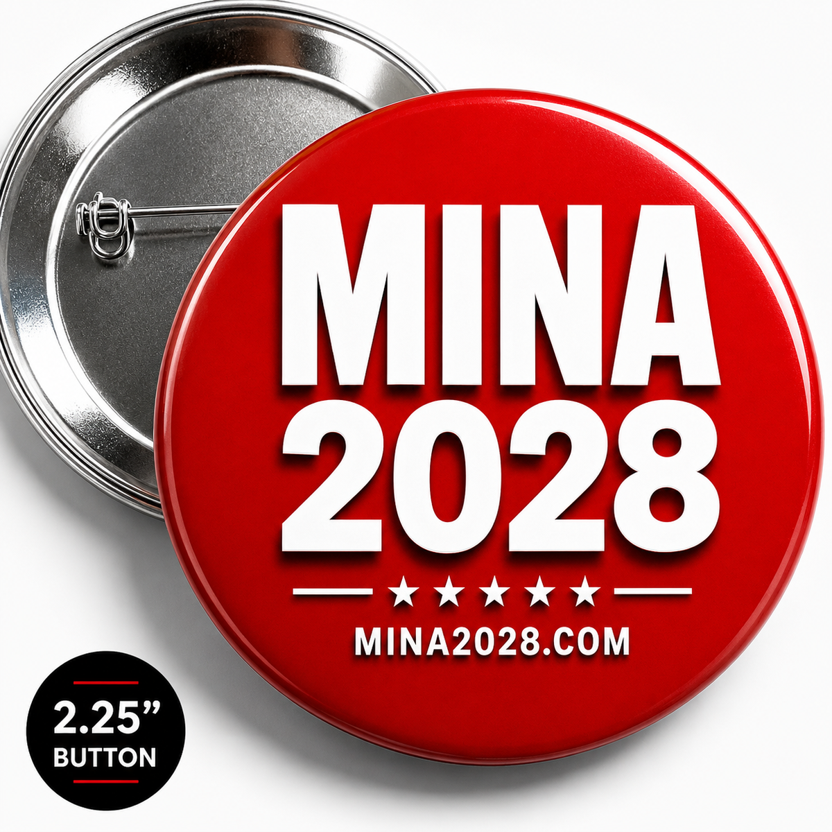 MINA 2028 - Make Insanity Normal Again
