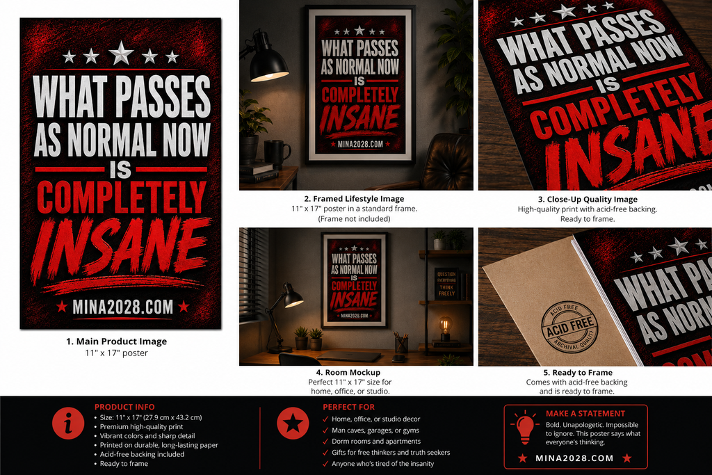 WHAT PASSES AS NORMAL NOW IS COMPLETELY INSANE POSTER