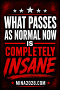 WHAT PASSES AS NORMAL NOW IS COMPLETELY INSANE POSTER